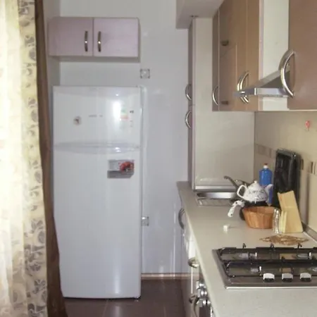 Apartment Roza